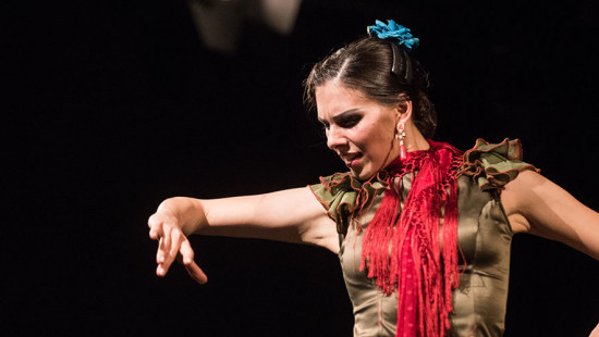 Flamenco Magia